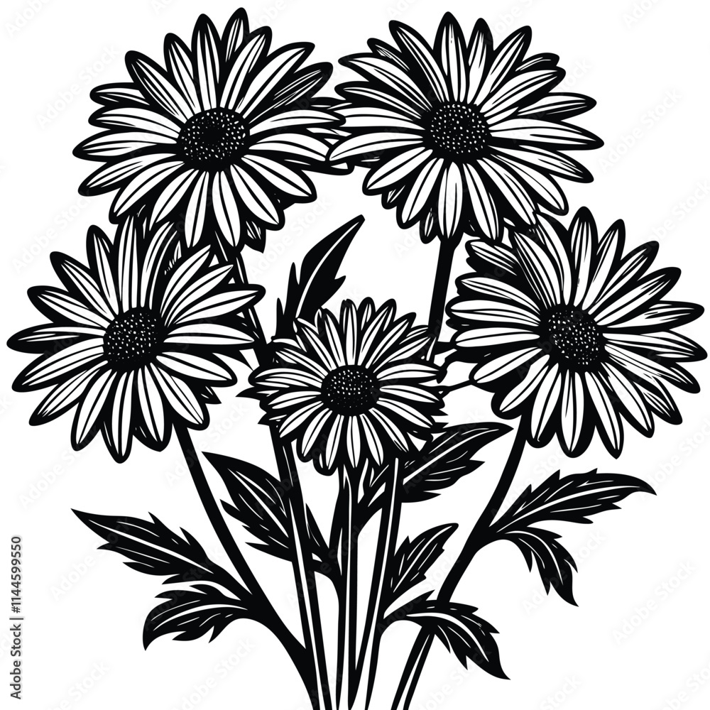 Shasta Daisy Flowers Line Art - Black and White Floral Illustration ...