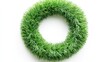 © dsant - Close up view of circle shaped artificial green grass wreath on white background, Ai generated image