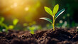 © mahamad - Seedling sprouting in soil, representing agriculture and new life.