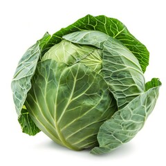 Poster - Fresh green cabbage with intact leaves, isolated on a white background