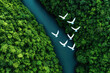 © Kowit - A flock of white birds flying over a river