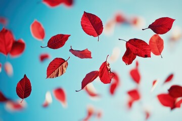 Canvas Print - Autumn Leaves in Flight