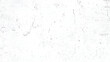 © Pixel Park - Distressed black texture. Distress Overlay Texture. Subtle grain texture overlay. White background on cement floor texture.