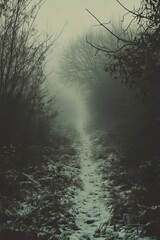  Foggy path, winter trees, snowy ground, desolate scene.