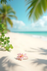 Poster - Summer and holiday backgrounds feature selective focus on white sand and shadows from flower leaves and other foliage elements._00002_