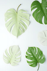 Poster - Monstera leaves placed on a white surface evoke tropical botanical concepts and flat lay photography inspiration for nature themed compositions._00001_