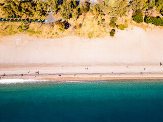 Wall Mural - bird eye aerial view of beach with small group of people