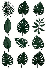 Poster - Collection of exotic tropical leaves with dark colors, ideal for creative and minimalist decoration patterns in a natural background setting._00002_