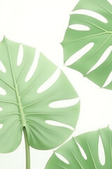Aufkleber - Beautiful Monstera leaves in white are selectively focused for use as a unique decorative design background image._00001_