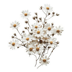 Poster - Delicate white daisies arrangement studio setting floral art minimalist aesthetic close-up view nature inspiration