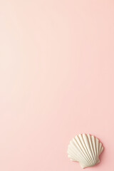 Poster - A seashell is placed on a soft pastel colored background in this flat lay design concept._00002_