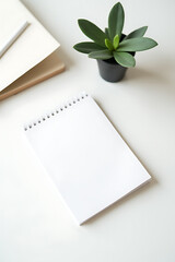 Poster - A minimalist setup features a simple white notepad next to a small potted eucalyptus plant on a clean worktable._00003_