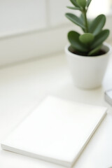 Poster - A minimalist setup features a simple white notepad next to a small potted eucalyptus plant on a clean worktable._00002_