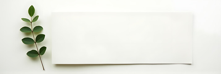 Aufkleber - A flat lay design features a single organic leaf placed on top of white paper in a natural concept setting._00003_
