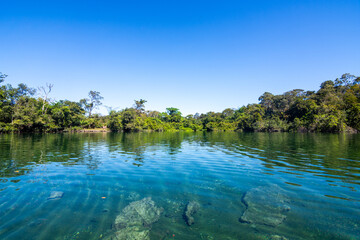 Wall Mural - View of Lagoa do Japonês (Japanese Lagoon) at Jalapão State Park - Tocantins, Brazil