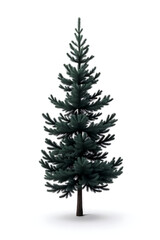Aufkleber - A black pine tree stands out vividly against a clean and simple white photographic background in a studio setting._00002_