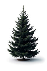 Aufkleber - A black pine tree stands out vividly against a clean and simple white photographic background in a studio setting._00001_