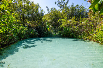 Wall Mural - View of Fervedouro Por Enquanto, a unique karst spring located at Jalapão State Park - Tocantins, Brazil