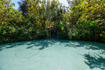 Wall Mural - View of Fervedouro Por Enquanto, a unique karst spring located at Jalapão State Park - Tocantins, Brazil