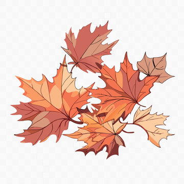 autumn leaves isolated

