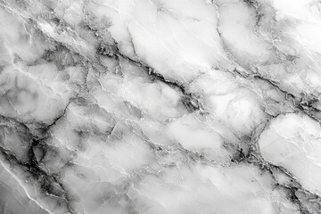 Poster - A luxurious, high-resolution image of a white and gray marble texture background, displaying a seamless glitter pattern from a top view of natural stone tiles.