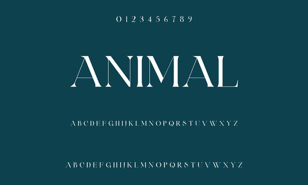Classic serif font alphabet letters fancy gentle typographic design. Elegant typography. Retro slick serif letter set for wedding card, restaurant menu, headline, lettering.