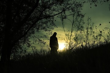 Poster - Silhouette, hooded figure, sunset, tall grass, trees.