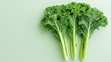 Fresh curly kale leaves arranged in a row on a light green background, minimalistic healthy food concept, studio shot, copy space for text, vegetable photography for design.

