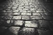 © Ruslan - Ancient road bricks after rain, abstract