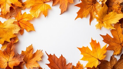 Wall Mural - Colorful autumn leaves in a circular pattern on white