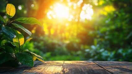 Wall Mural - sunlight filters through leaves in a peaceful forest setting