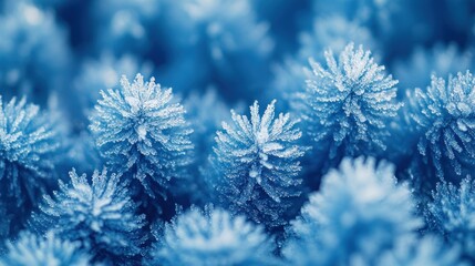 Poster - A close-up of frosty blue plant-like structures, showcasing intricate ice formations.