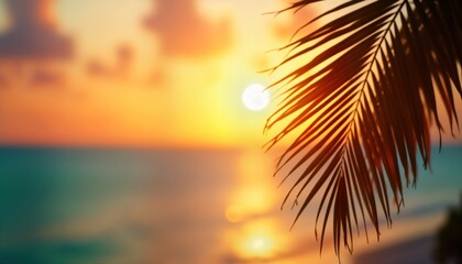 Poster - Sunset view over tropical ocean. Silhouette of palm leaves. Colorful sky, sea. Vacation concept. Scenic landscape. Exotic beauty. Sunny day. Relaxed mood. Summer vibes. Peaceful ambiance. Tropical