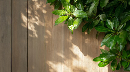 Poster - lush green leaves cast shadows on a wooden surface in natural light during the afternoon