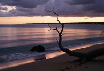 Wall Mural - sunset over the sea