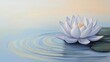 © YauheniB - Flor de loto en un lago