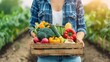 © ChimE - A farmer woman proudly displays a wooden box brimming with fresh, vibrant vegetables, ready for harvest and enjoyment.