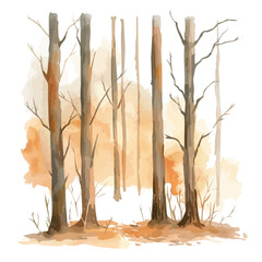 Wall Mural - a watercolor illustration of soft spring mist in the forest, isolated on a white background. soft sp
