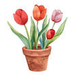 © Farzan - A watercolor clipart of springtime tulips in a flowerpot, isolated on a white background. Springtime tulips in a flowerpot vector.