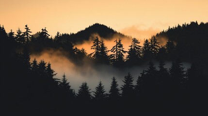 Wall Mural - Misty mountain forest at sunset.