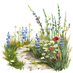 Sticker - A watercolor vector of wildflowers growing along a country road, isolated on a white background. Wildflowers growing along a country road vector.
