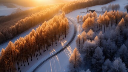 Wall Mural - winter landscape at sunrise with trees and winding road in a snowy mountain area