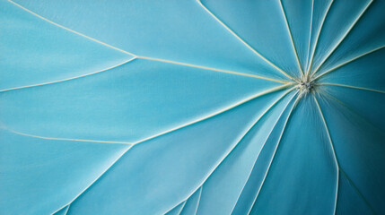 Poster - close-up view of blue plant leaves highlighting unique texture and pattern in natural light