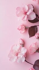 Wall Mural - Delicate Pink Blossoms Arranged on a Pink Background