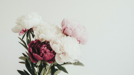 Poster - A bouquet of mixed peonies in various shades arranged against a clean white backdrop, close-up shot, Minimalist style