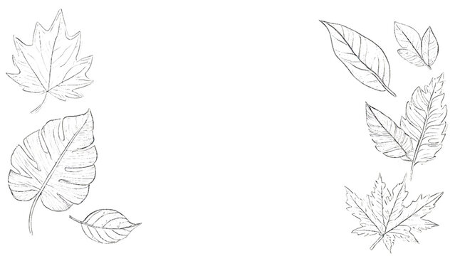 Vector black autumn frame with leaves background 