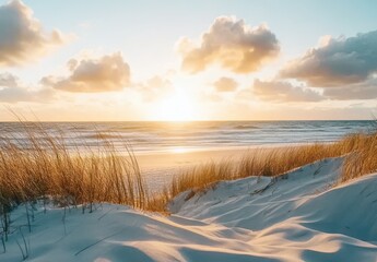 Poster - Breathtaking Sunset Over Sandy Beach with Golden Horizon and Wispy Clouds Creating a Serene Coastal Landscape at Dusk