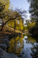 Wall Mural - Beautiful autumn view of Yuanmingyuan Park in Beijing, China