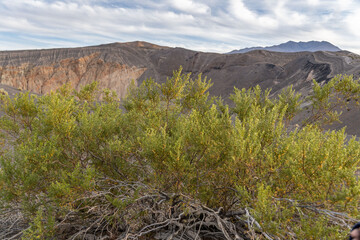 Wall Mural - Ubehebe Craters / maar and tuff ring, volcanic. Death Valley National Park, California. Mojave Desert / Basin and Range Province. Larrea tridentata, creosote bush, greasewood, chaparral
