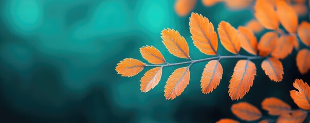 Poster - Micro foliage idea. Stunning autumn leaf highlighting vibrant hues against a soft blue backdrop.